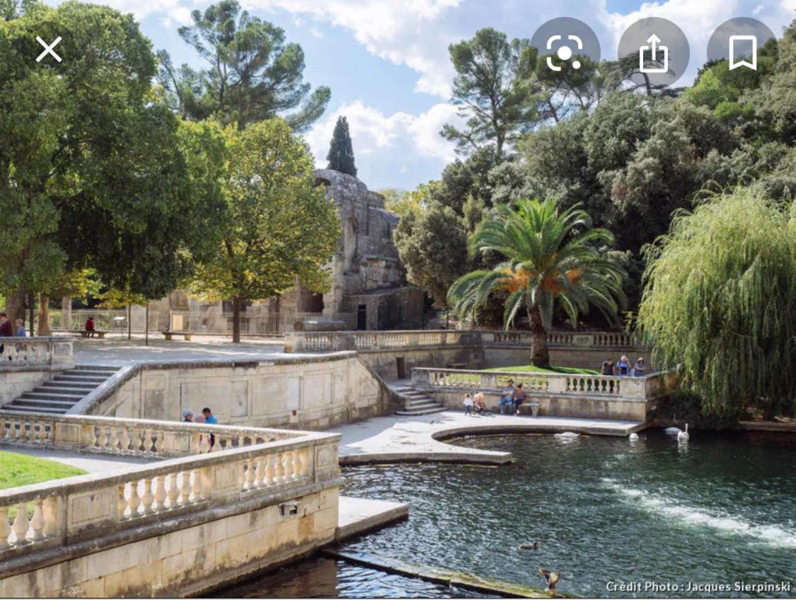 Gite Les Oliviers 10 Pers Piscine Au Calme 4 Etoiles Saint-Laurent-la-Vernède Exterior foto