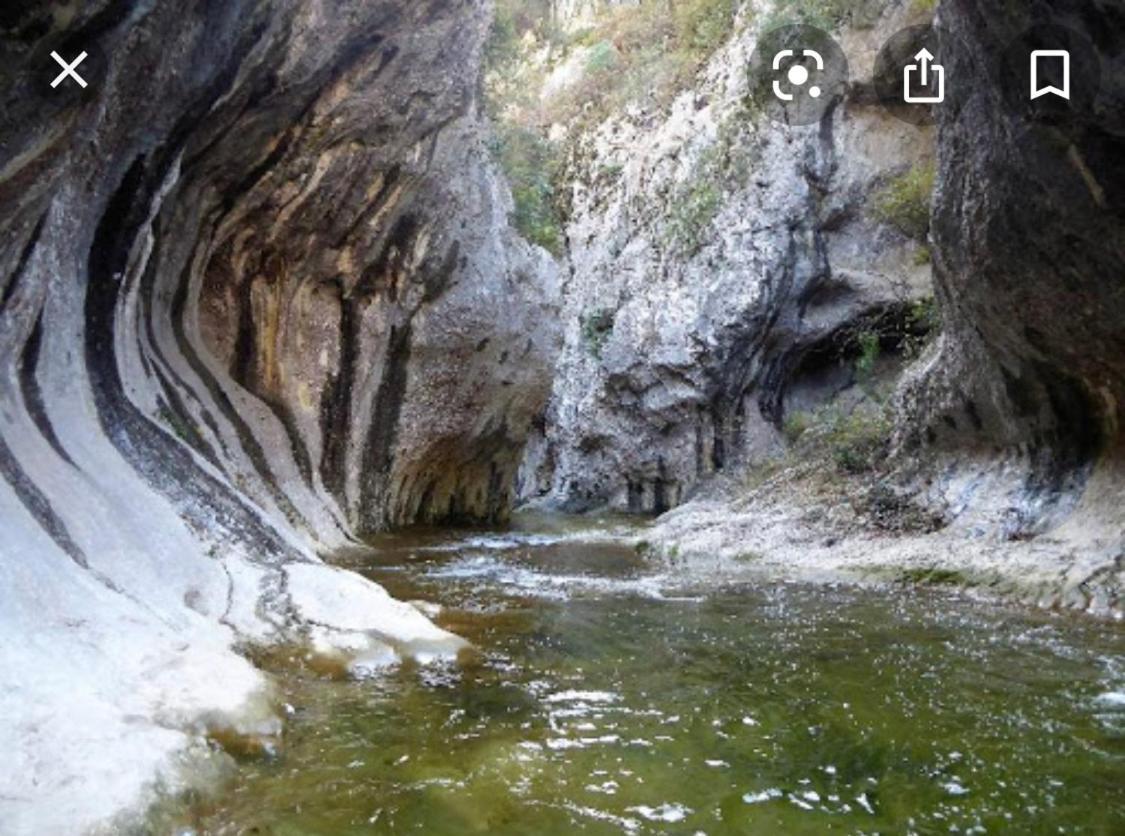 Gite Les Oliviers 10 Pers Piscine Au Calme 4 Etoiles Saint-Laurent-la-Vernède Exterior foto